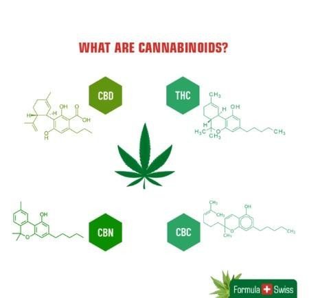 Formula Swiss-hva er cannabinioids