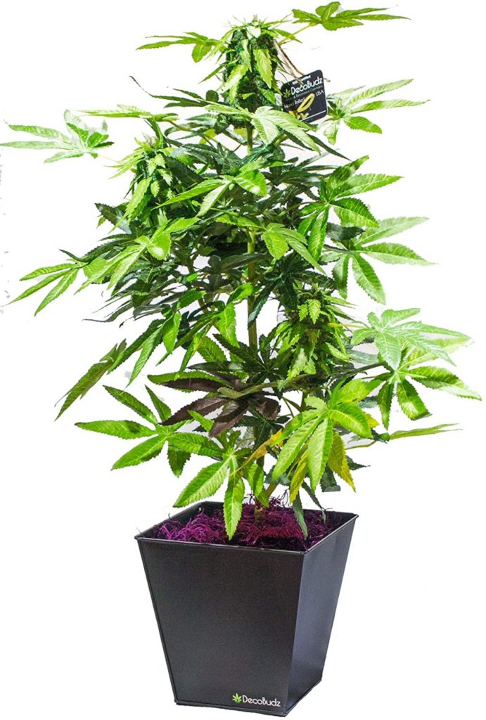 DecoBudz Kush Artificial Cannabis Marijuana Hemp Plant 25-30 inches Tall